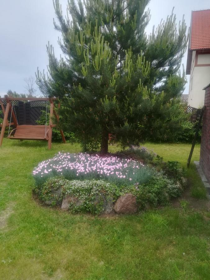 Apartamenty I Domki Mierzeja Sztutowo Bagian luar foto